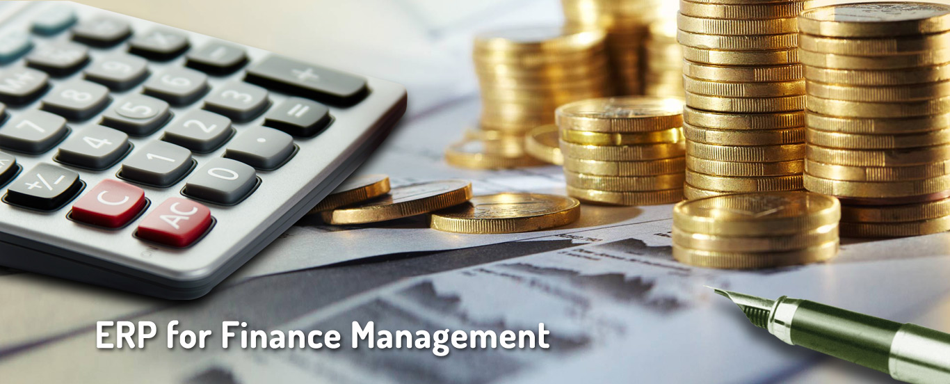 ERP for Finance Management