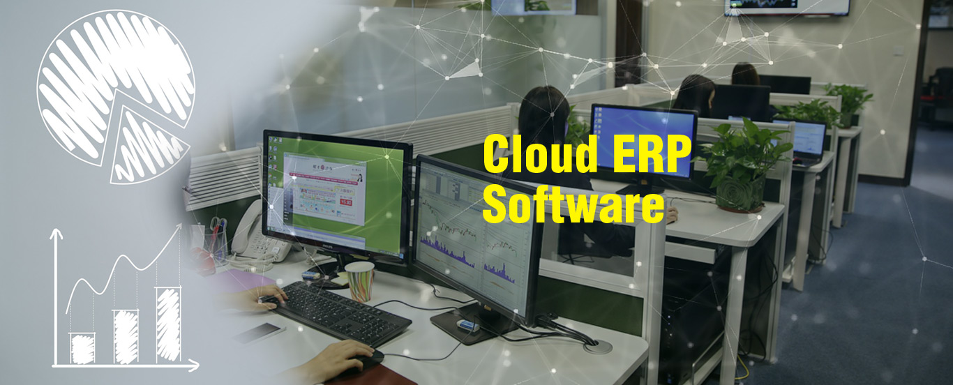 Cloud ERP Software in India