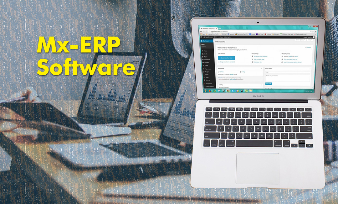 Implement ERP Software in India