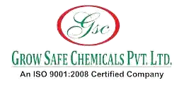 ERP Software Company