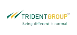 Trident Limited, India
