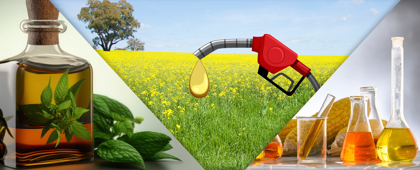 ERP Software Solutions for Edible oil Manufacturers, Noida
