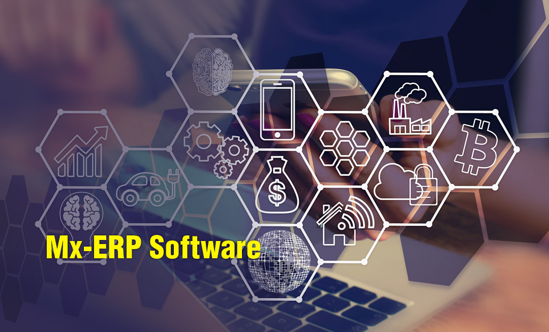 Successful ERP implementation in India